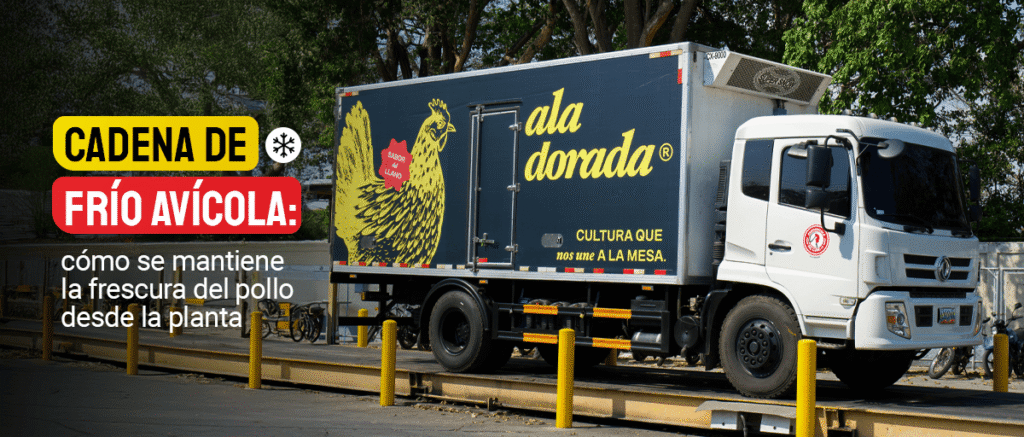 Cadena de frío avícola