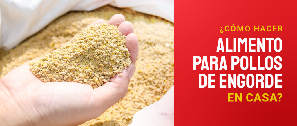 alimento para pollos de engorde