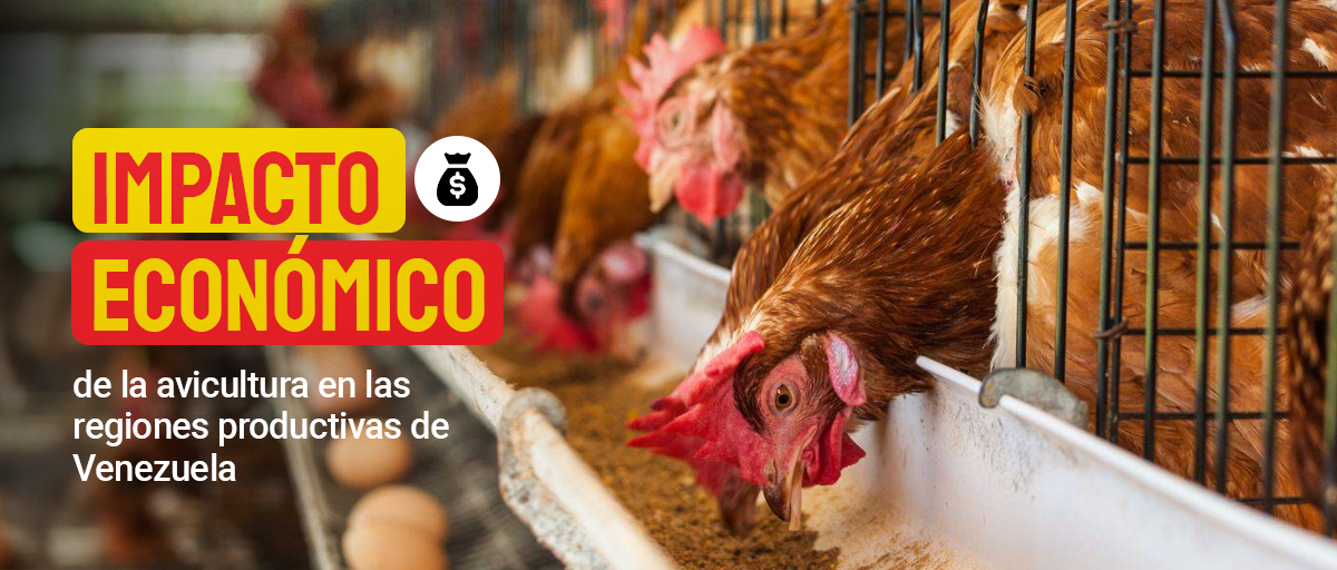avicultura