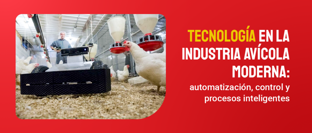 Tecnología en la industria avícola moderna