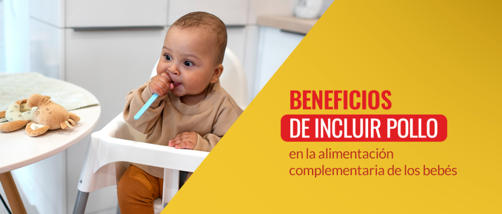 pollo en la alimentación complementaria