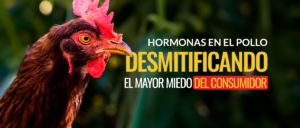 Hormonas en el pollo
